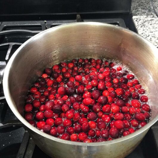 cranberry sauce