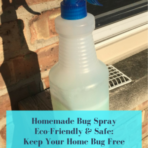 How to Make Homemade Bug Spray