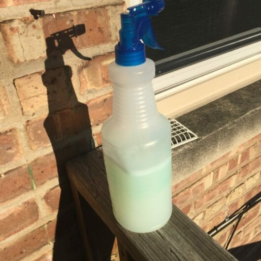 Homemade bug spray