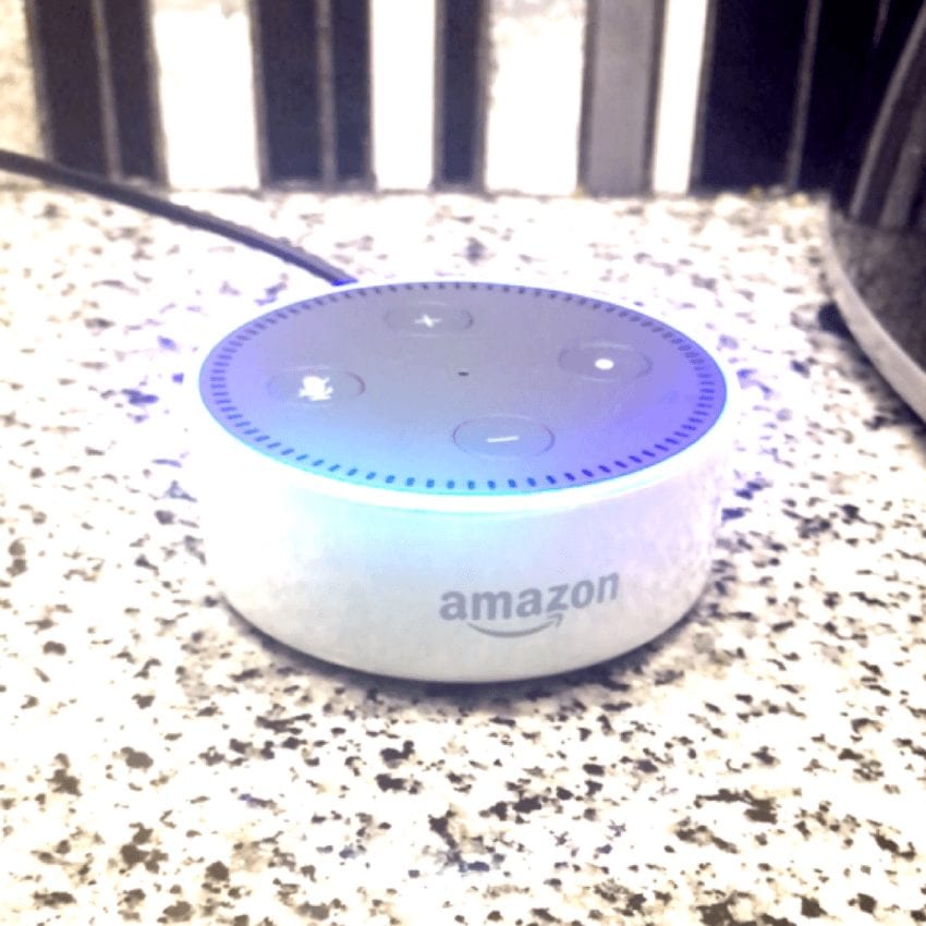 Amazon Echo Dot in Kitchen